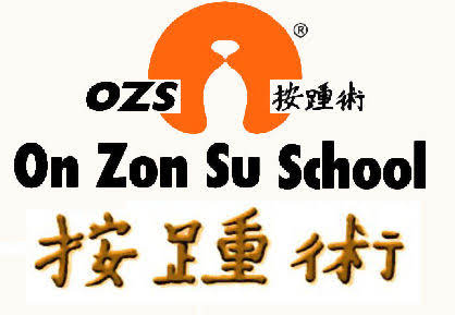 immagine_logo_on Zon Su School
